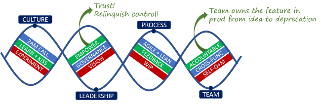  DNA: Culture, leadership, process, and team