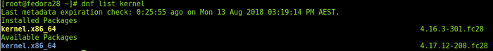 Output of # dnf list kernel command