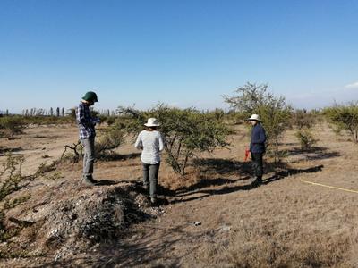 Survey team assessing land cover