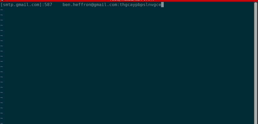 Postfix - Google_setup_3_vim_config.png