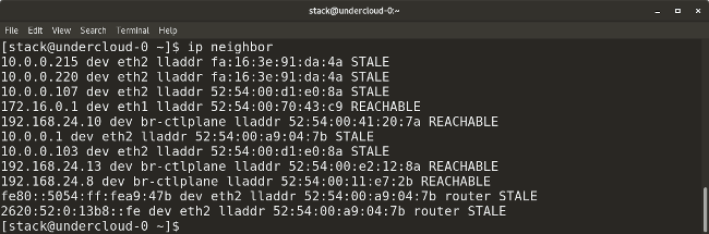 ip cef optimize neighbor resolution