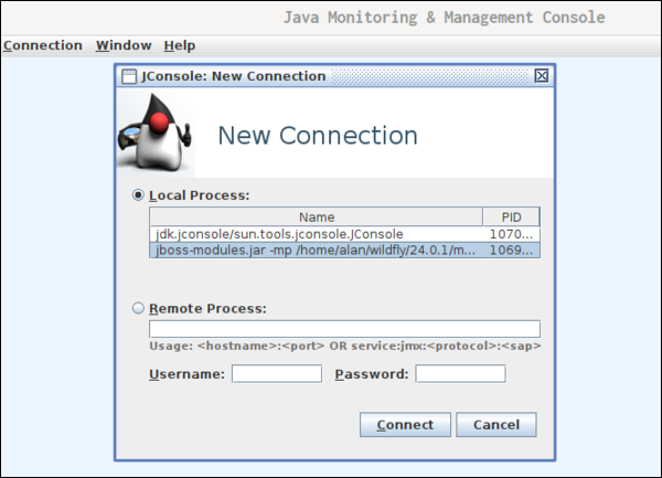 jconsole new connection screen with local processes