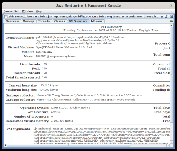 jconsole VMsummary tab 