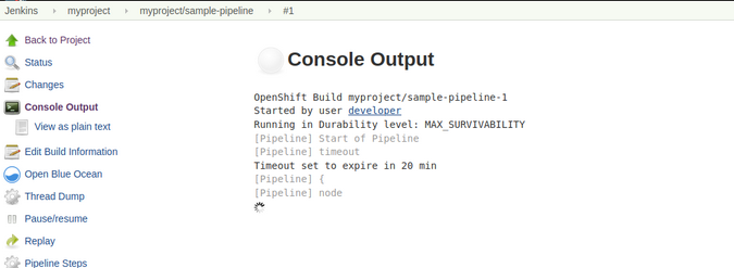 Jenkins console output