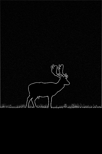 Deer image with edge detection