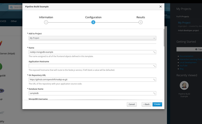 Pipeline options