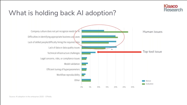 Bottlenecks to AI adoption