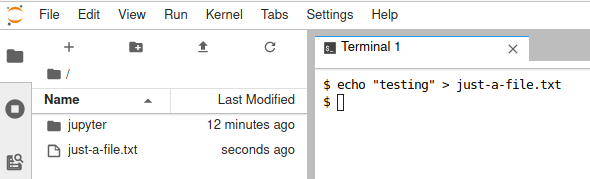 Terminal in Jupyter remote console