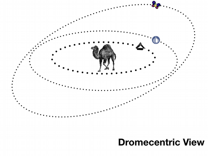 Dromecentric view