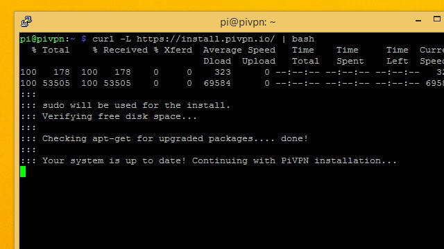 Terminal after installing PiVPN