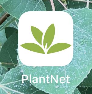 PlantNet smartphone icon