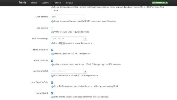 Screenshot of fields for DNS server settings for Turris Omnia router