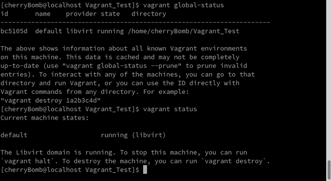 Verifying with the vagrant global-status command