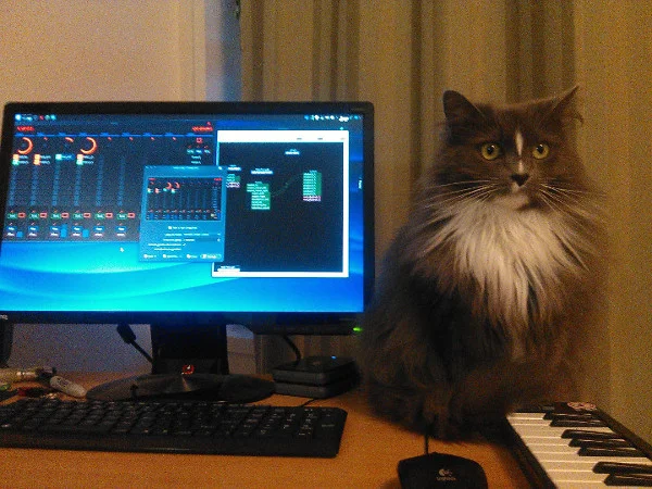 Wednesday the cat disguising herself as a computer speaker